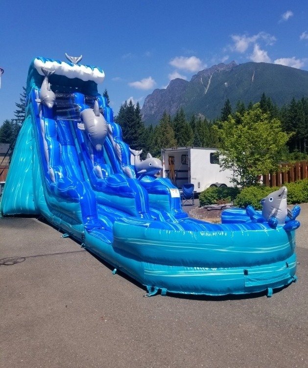 19ft Dolphin water slide