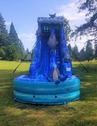 19ft Dolphin water slide